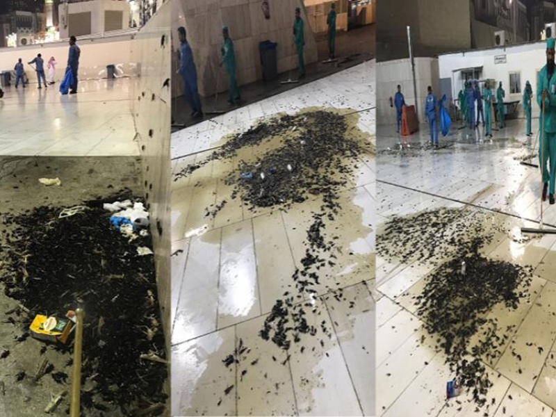 اضغط لمشاهدة الفيديو: رئاسة شؤون الحرمين تكشف عن سبب انتشار الحشرات بالحرم، وتوضح نتائج المكافحة